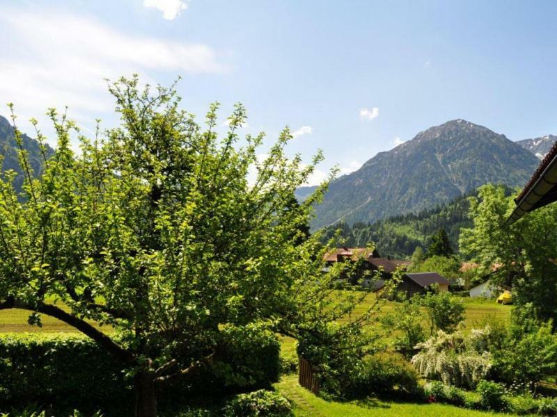 Haus Koelbl Appartement Bad Hindelang Buitenkant foto